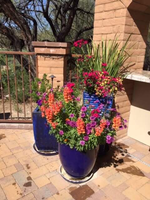 The Contained Gardener, a service of Sonoran Gardens Landscape & Design in Tucson, Arizona