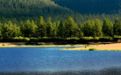 What Are the Arizona Climate Zones?