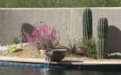 What Can You Do To Minimize Heat Stress?