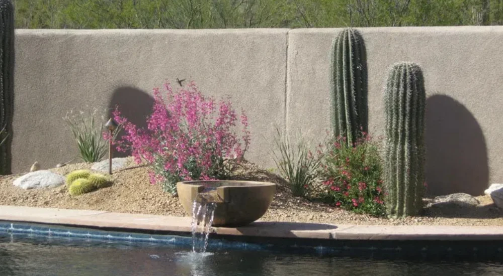 What Can You Do To Minimize Heat Stress?
