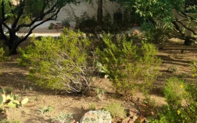 In the Garden