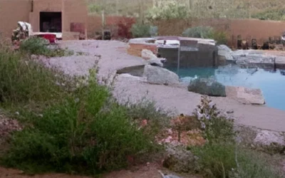 Sonoran Gardens Featured in Arizona Daily Star Article on Xeriscaping