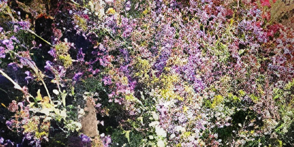Purple Flower Garden