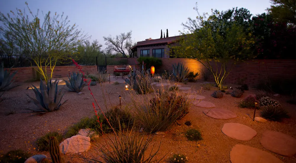 Desert garden at night with pathway and landscape lighting Desert garden at night with pathway and landscape lighting