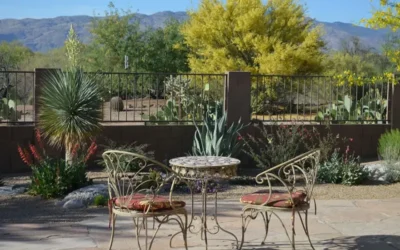 Landscape Design in Tucson