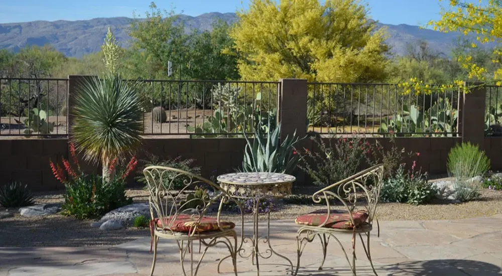 Desert patio with seating and cactus garden Desert patio with seating and cactus garden