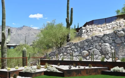 Landscape Design in Beautiful Tucson