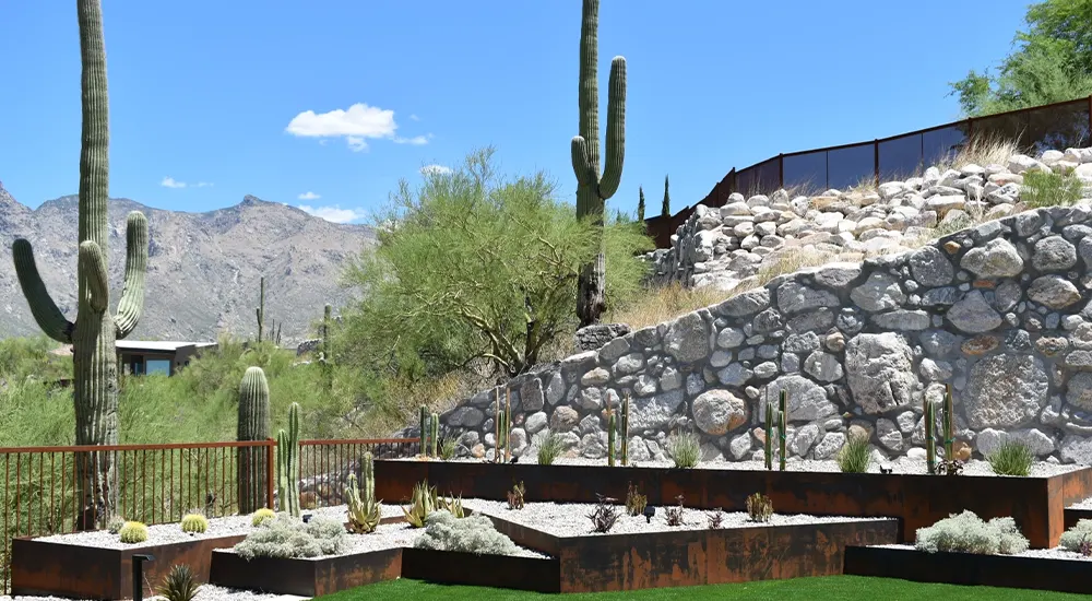 Desert landscape with retaining wall and cactus