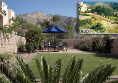Backyard Lawn Mountain View