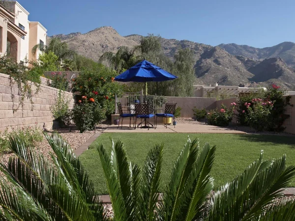 Backyard Lawn