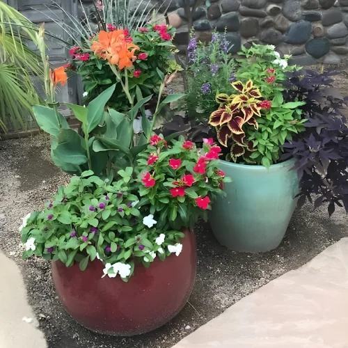 Blooming Window Planter