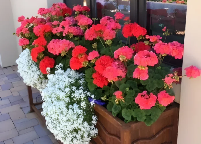 Bright Seasonal Planter