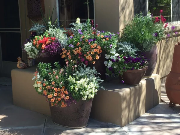 Colorful Balcony Garden