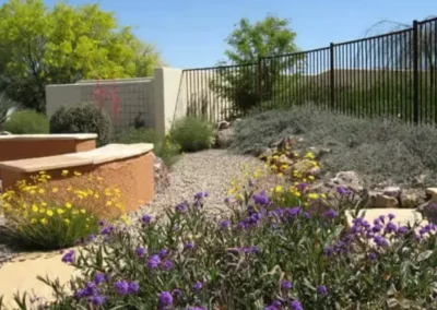 Colorful Xeriscape In Tucson With Raised Stucco Planter And Wildflowers