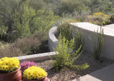Curved Retaining Wall With Desert Plants And Gravel Landscaping Design