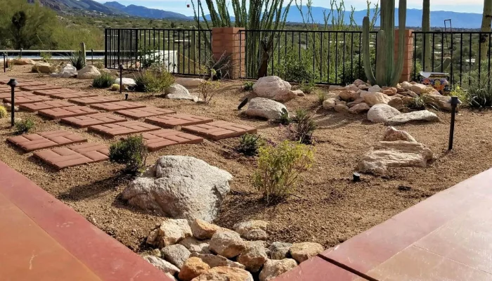 Desert-Friendly Landscape