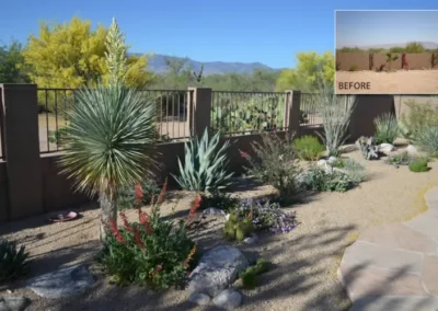 Desert Garden Fence Succulents