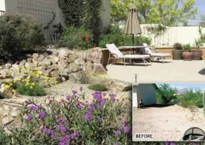 Desert Garden Rock Flower Landscape