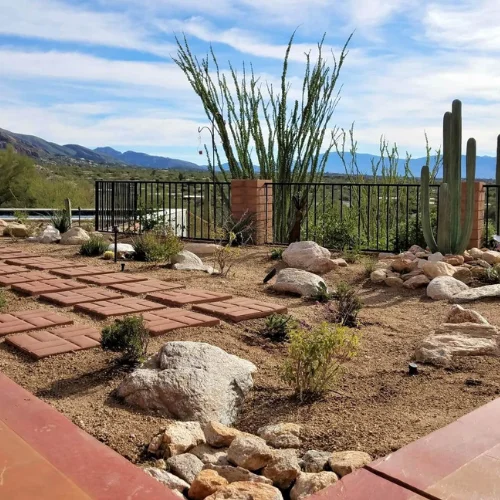 Desert Serenity Garden