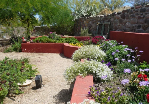 Desert flower garden