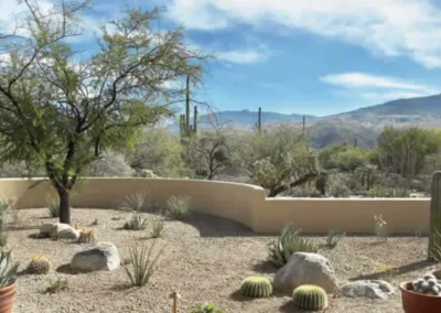 Desert Landscape With Curved Wall, Cacti, Rocks, And Mountain Backdrop