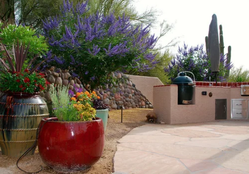 Desert patio garden