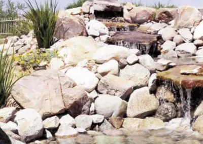 Desert Stream With Boulders And Blooming Wildflowers