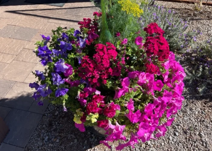 Flower Pot