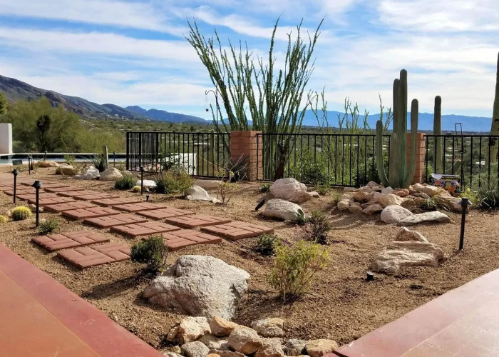 Front Yard Desert Landscape