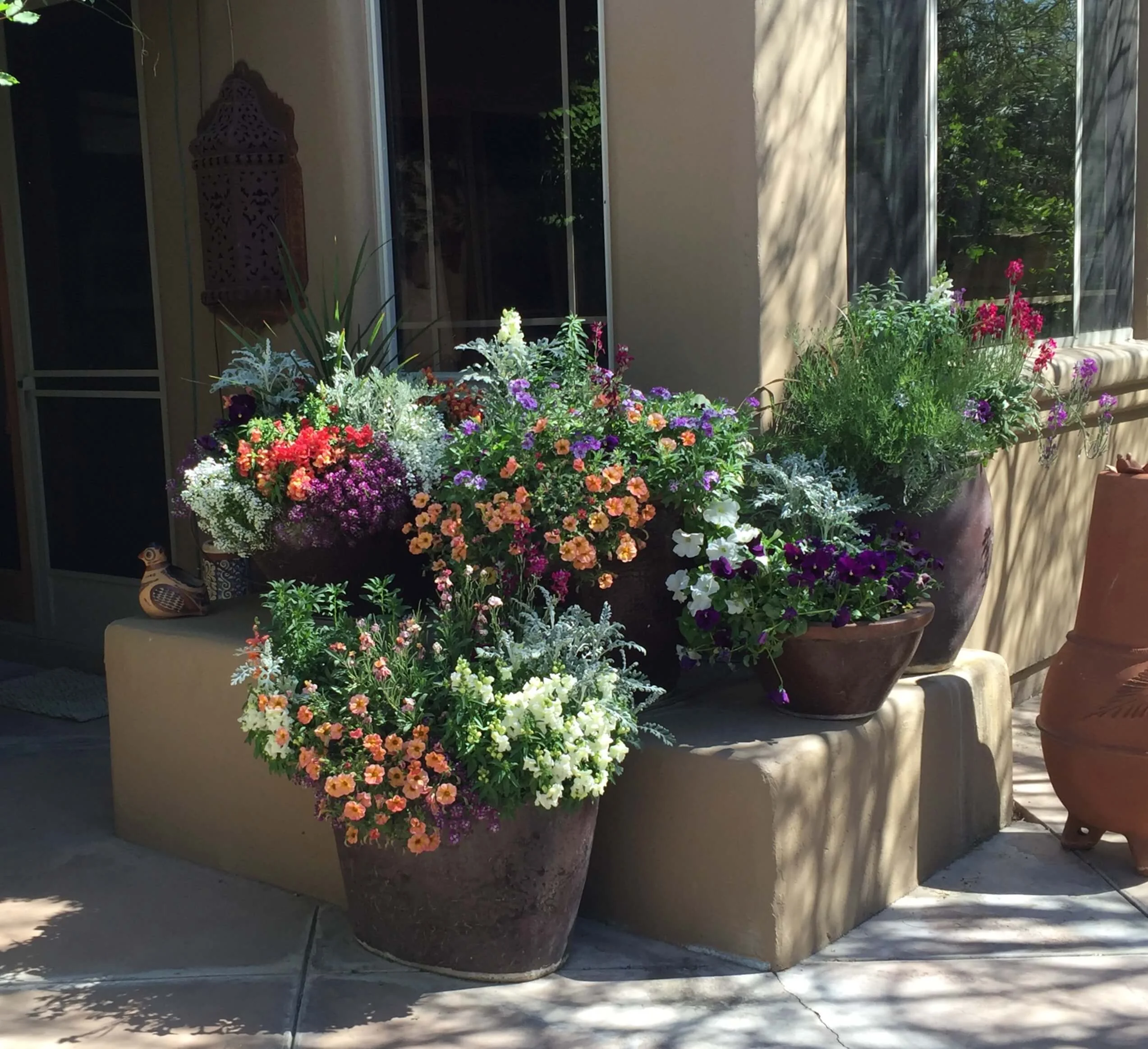Close-up of decorative planter with blooming flowers on shaded patio Close-up of decorative planter with blooming flowers on shaded patio