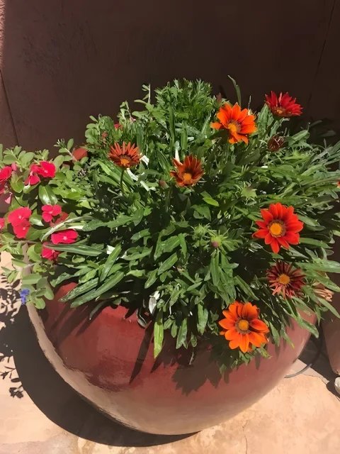 Garden Pot Collection Garden Pot Collection
