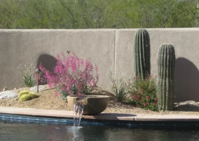 Garden Fountain Reflecting In Tucson Courtyard Pool