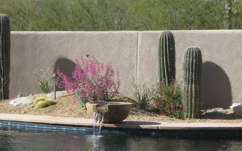Garden Fountain Reflecting In Tucson Courtyard Pool Garden Fountain Reflecting In Tucson Courtyard Pool