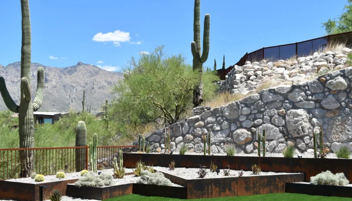 Landscape Design in Beautiful Tucson