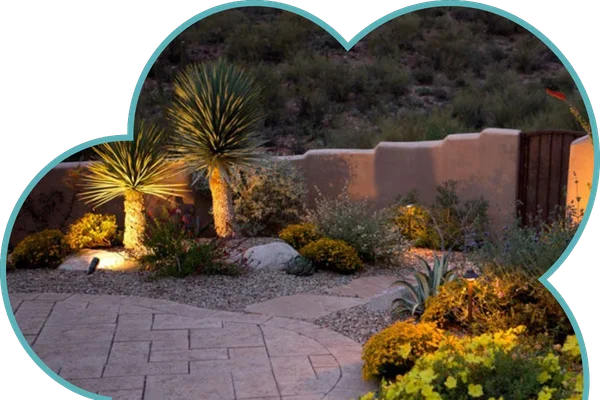 Landscape lighting installation desert garden night illumination Tucson