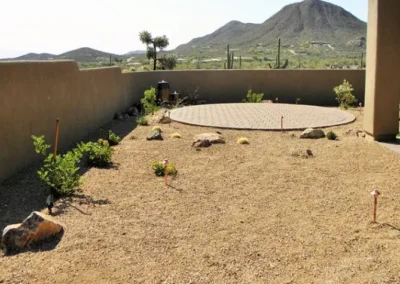 Low Maintenance Tucson Xeriscape With Young Cacti