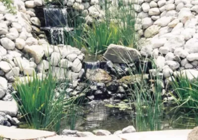 Lush Waterfall Feature In Tucson Desert Garden