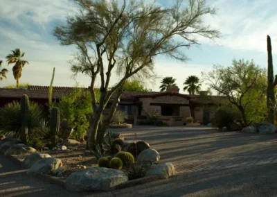 Mature Mesquite Tree Shading Adobe Style Tucson Home