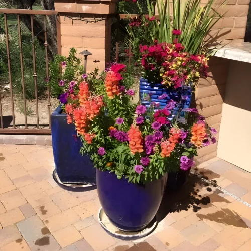 Modern Cactus Planter Modern Cactus Planter