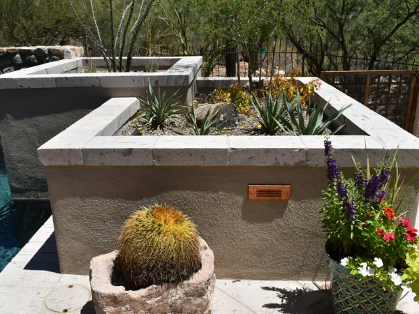Modern succulent courtyard landscape design in Tucson Arizona Modern succulent courtyard landscape design in Tucson Arizona
