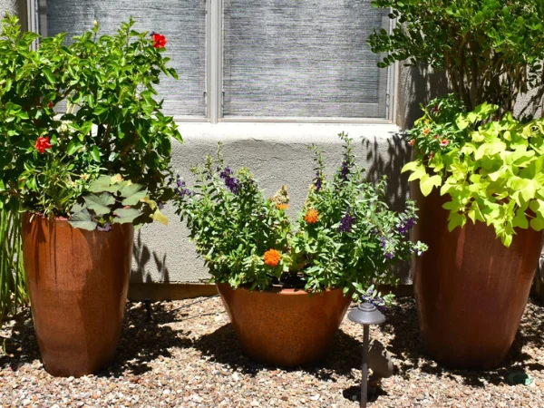 Patio Pots
