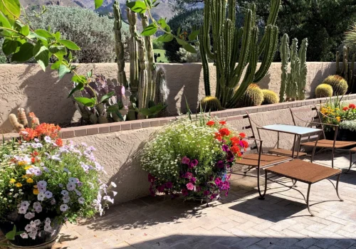 Patio with potted plants Patio with potted plants