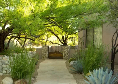 Peaceful Garden Walkway Surrounded By Trees And Native Desert Plants