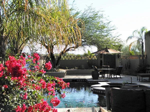 Poolside Garden Oasis