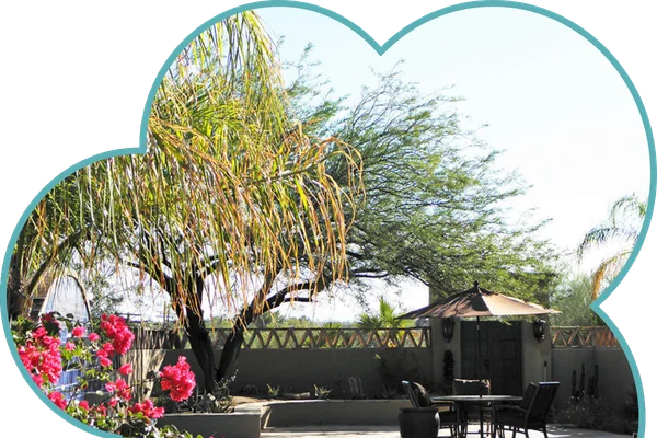 Seasonal landscape maintenance desert garden cleanup Tucson Arizona