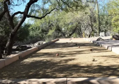 Shaded Outdoor Bocce Ball Court In A Tucson Backyard, Bordered By Stucco Curbs And Surrounded By Desert Trees And Natural Landscaping