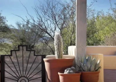 Stylish Patio Corner With Iron Gate And Desert Potted Plants