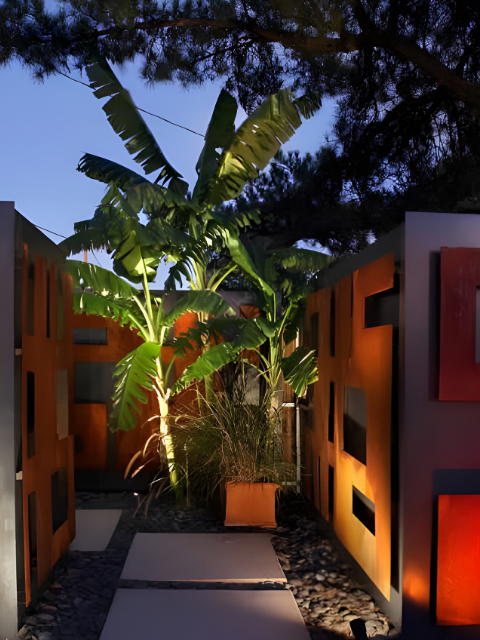 Tropical Walkway