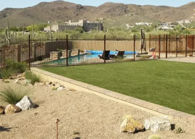 Tucson Backyard Pool With Desert Landscape