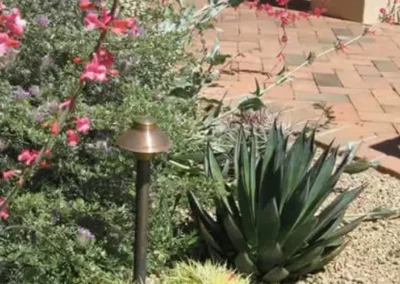 Tucson Desert Garden With Agave, Golden Barrel Cactus, And Flowering Plants